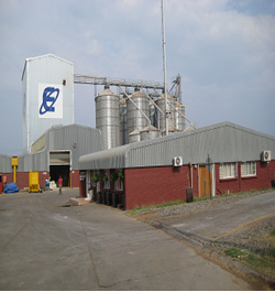 Poultry Feed Plant